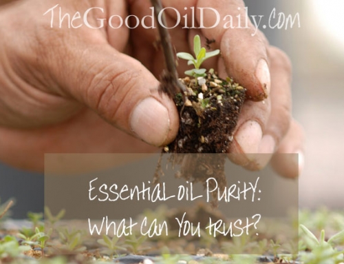 Essential Oil Purity: What Can You Trust?