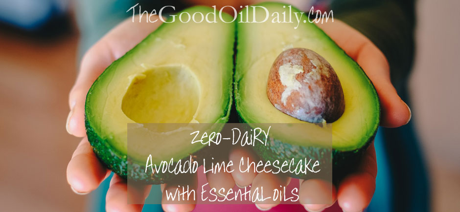 avocado lime cheesecake recipe, the good oil daily