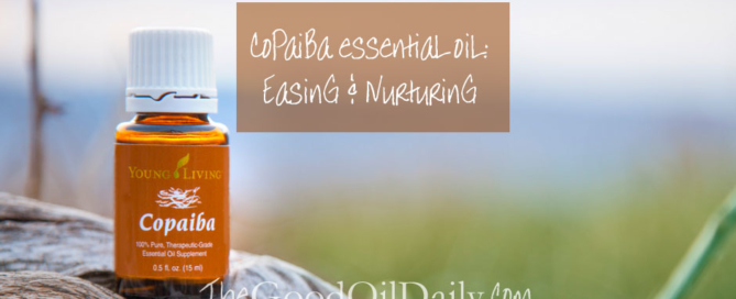 copaiba essential oil, the good oil daily