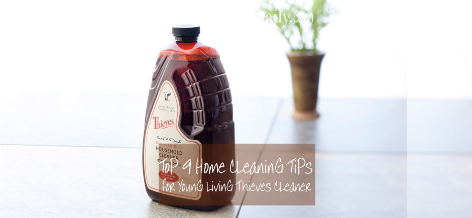 How to Clean an Oven with Young Living Thieves Household Cleaner