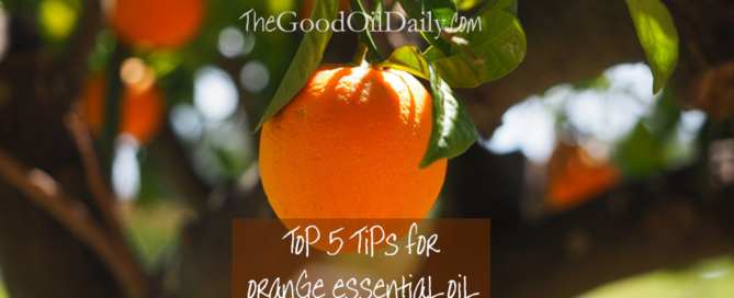 tips for orange essential oil, young living orange, the good oil daily