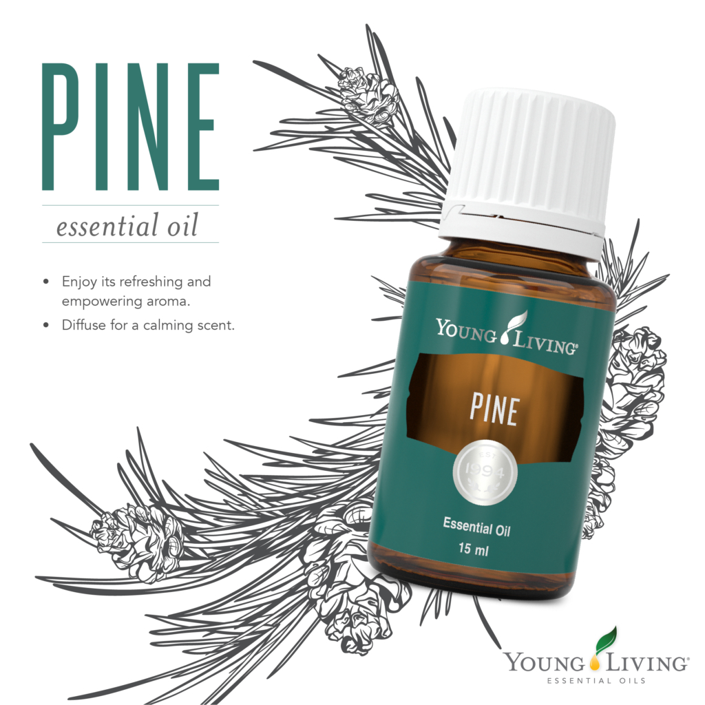 young living pine essential oil