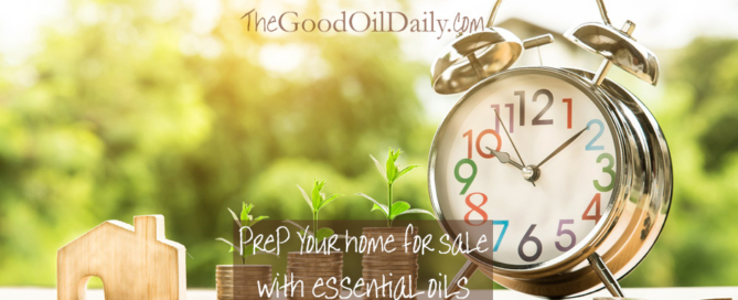 essential oils home, young living, the good oil daily