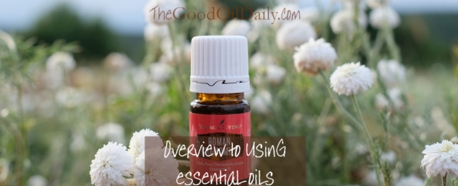 guide to essential oils, the good oil daily