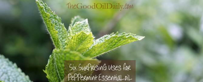 6 surprise uses peppermint oil, the good oil daily