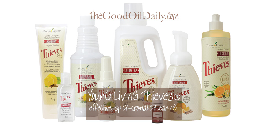 clean home with young living thieves, the good oil daily