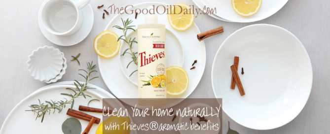 clean home with young living thieves, the good oil daily