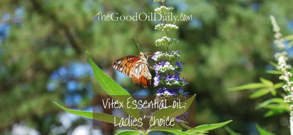 vitex ladies, the good oil daily
