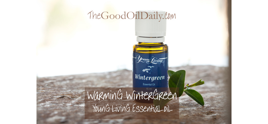 young living wintergreen, the good oil daily