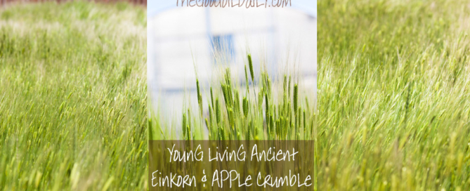young living einkorn, the good oil daily
