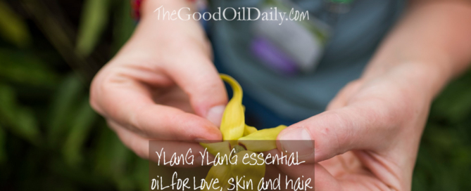 ylang ylang essential oil, love, the good oil daily