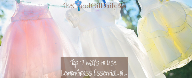 top 7 ways to use lemongrass essential oil, the good oil daily