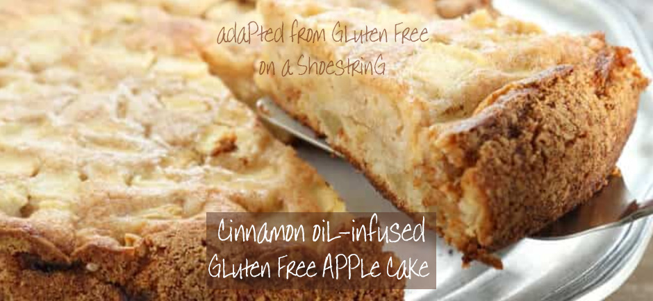 cinnamon infused gluten free apple cake, the good oil daily