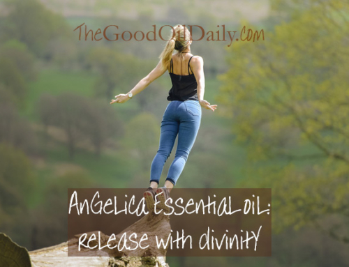 Angelica Essential Oil : Release with Divinity