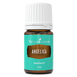 Angelica Essential Oil : Release with Divinity