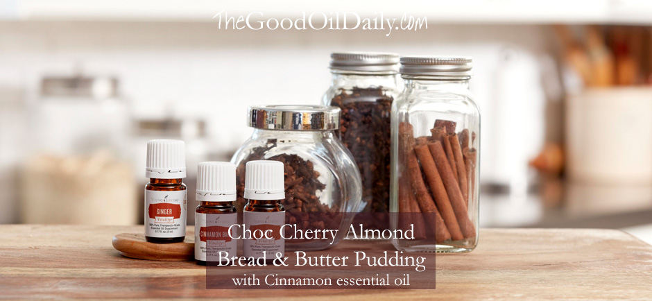 young living cinnamon vitality oil recipe, the good oil daily