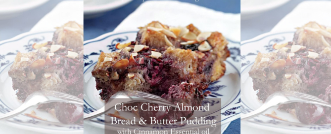 choc cherry almond pudding with cinnamon oil, the good oil daily