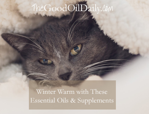 Winter Warm with These Essential Oils and Supplements