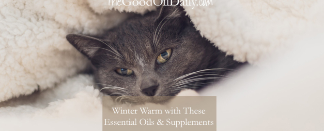 winter warm with essential oils, the good oil daily